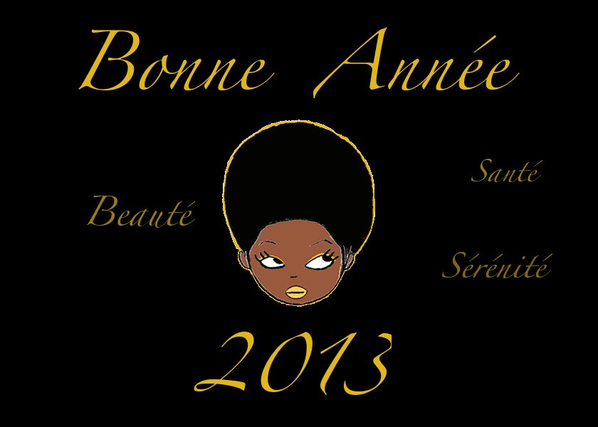 bonne année 2013